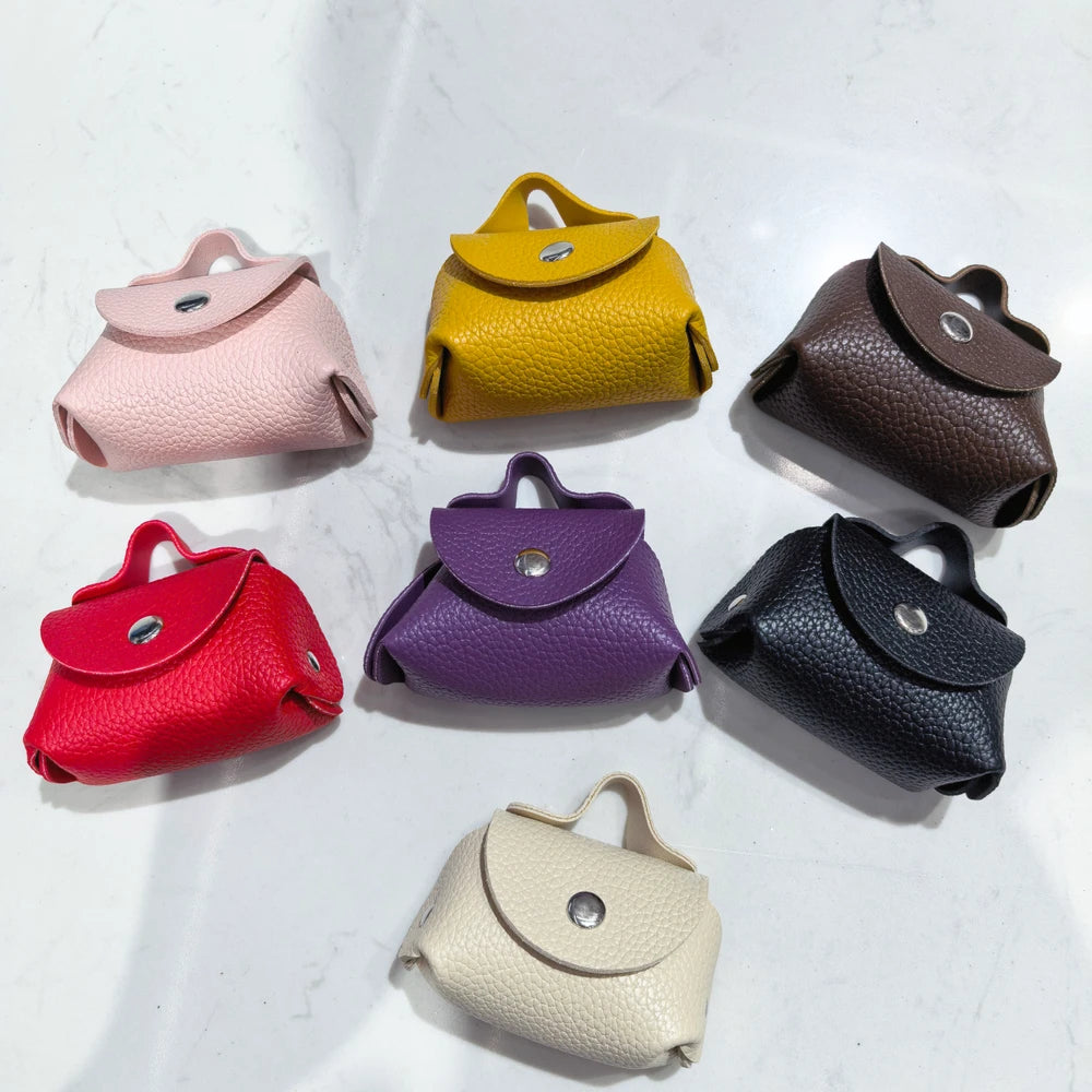 Multi-Color Bag for Earphones